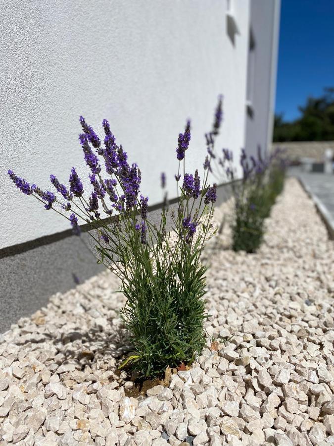1oak rentals Vir Kültér fotó